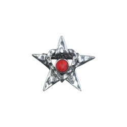 Καρφίτσα με σχέδιο αστέρι 5 cm