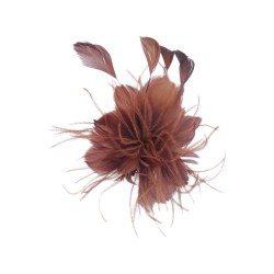 Καρφίτσα με φτερά καφέ