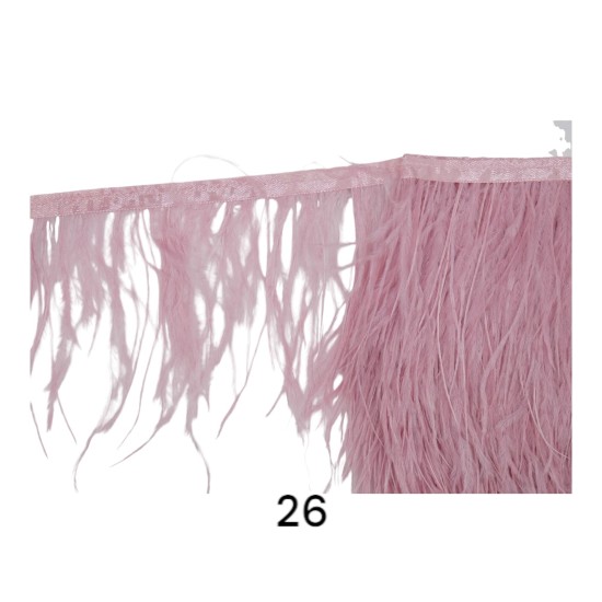 Κρόσσι φτερό πούπουλο σε 38 χρώματα 10 cm  (111494)