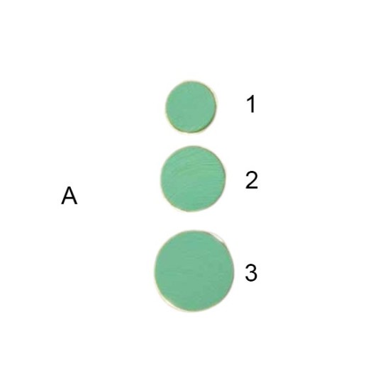 Κουμπί μόδας σε 2 χρώματα  ()