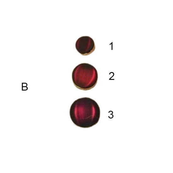 Κουμπί ματ μόδας σε 2 χρώματα  (89139)