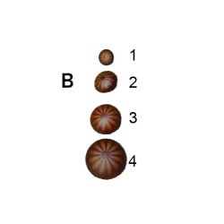 Κουμπιά Ματ Μπουλ σε 3 χρώματα 