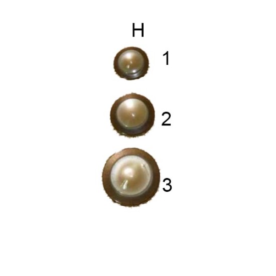 Κουμπί γυαλιστερό με ματ βάση σε 7 χρώματα (79630)