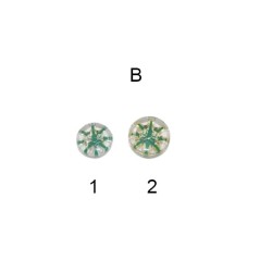 Διάφανο κουμπί πουκαμίσου σε 3 χρώματα Διάφανο κουμπί πουκαμίσου σε 3 χρώματα